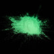 Mica powder - Glow in the Dark Green