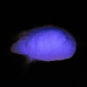 Mica powder - Glow in the Dark Purple
