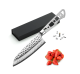 AUS-10 Japanese steel forged hammered Santoku culinary blade - 5-1/2