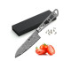 AUS-10 Japanese Damascus Katsura Santoku culinary blade - 5